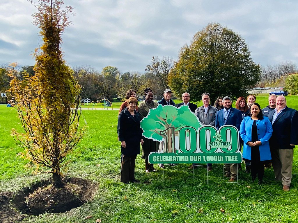 Mayor Kathy Sheehan Plants 1,000th New Tree as Part of 2,025 Trees by