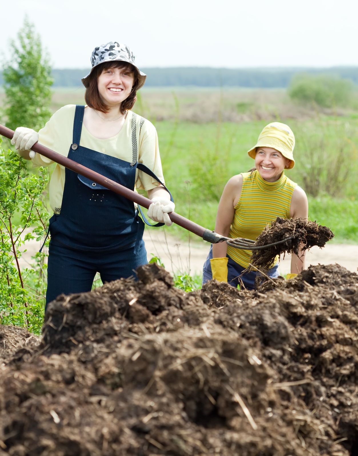 Woman Shoveling Compost Woman Shoveling Compost